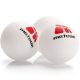 3. Meteor Sunrise Rollnet 15043 table tennis set