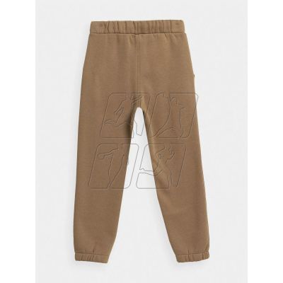 9. 4F Jr Pants 4FJAW23TTROM419-83S