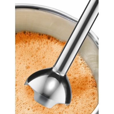 2. BOSCH MSM 24100 Hand Blender