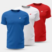 Men's T-shirt (SET OF 3 T-SHIRTS) 4F 4FWSS25TTSHM3097-90S