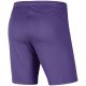 2. Nike Dry Park III NB K Kids Shorts Purple BV6865 507