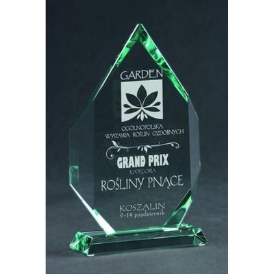 7. Engraved glass trophy with case