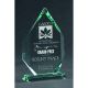 7. Engraved glass trophy with case