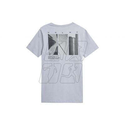 3. T-shirt 4F M 4FSS23TTSHM307 light gray