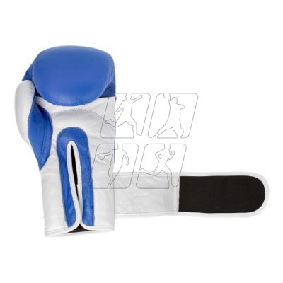 19. Leather boxing gloves MASTERS RBT-TRW 01210-02