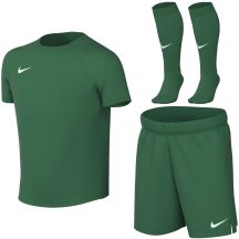 Nike Dri-Fit Park VIII green HV8260 302 M sports set for toddlers