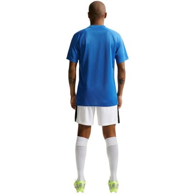 7. Nike Dri-Fit Park VIII Men's T-Shirt Blue HV8173 463