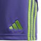 10. adidas Tiro 24 Jr IT2419 Shorts