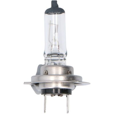 2. DUNLOP FUSE BULB SET 11 PCS