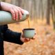 12. Thermos Meteor 1000 ml 17249