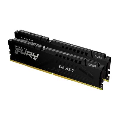 31. KINGSTON FURY Beast DDR5 32GB 5600MHz CL36 (Kit of 2) Black EXPO