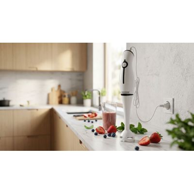 10. Esperanza Frappe Hand Blender EKM001K (250W; black)