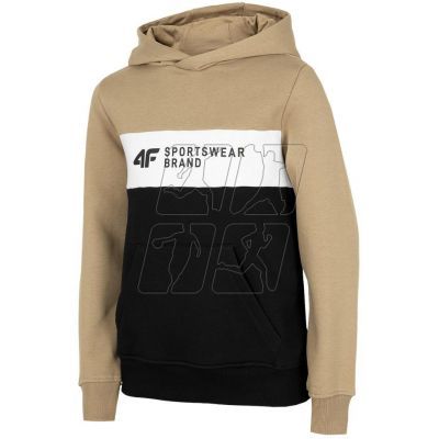 2. Sweatshirt 4F light Jr HJZ22 JBLM003 82S