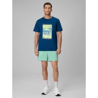 Men's boardshorts 4F 4FRSS26UBDSM229-33S