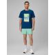Men's boardshorts 4F 4FRSS26UBDSM229-33S