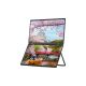 2. JAPANNEXT 39.6 cm JN-DMD-IPS156F Dual FHD Monitor