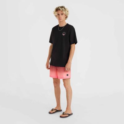 8. O'Neill Jack Cali Gradient 15'' Swim Shorts M 92800613579
