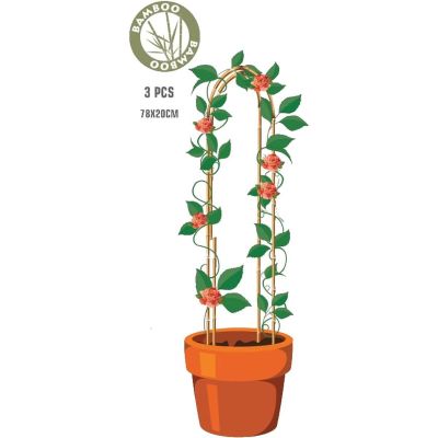 12. BAMBOO PLANT SUPPORT ARCH 78CM 3 PCS PROGARDEN