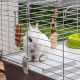 8. FERPLAST Rabbit 100 - rabbit cage