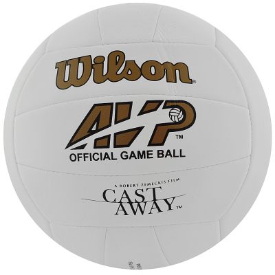 6. Wilson Mr Castaway WTH4615 Volleyball