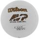 6. Wilson Mr Castaway WTH4615 Volleyball