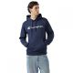 2. Champion Men's Hooded Sweatshirt 221809.BS501