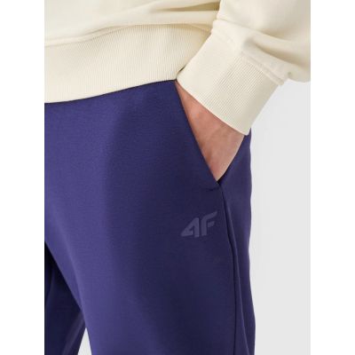2. Men's jogger sweatpants 4F 4FWMM00TTROM1139-31S