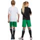 15. adidas Entrada 22 Jr IC7410 Shorts