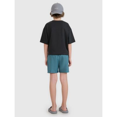 3. Boys' boardshorts 4F Junior 4FJRMM00UBDSM110-46S