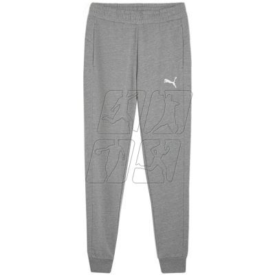 Puma Team Goal Casuals M 658598 33 pants