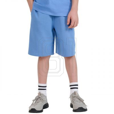 2. Shorts 4F CAS M685 Jr 4FJRSS25TSHOM685 33S