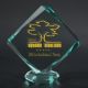 4. Engraved glass trophy with case + paint filling