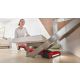 12. BOSCH BBH 3ZOO28 FLEXXO vacuum cleaner