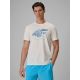Men's regular printed T-shirt 4F 4FRSS26TTSHM4295-11S