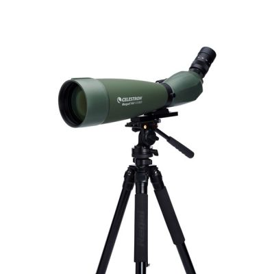 8. Regal M2 100 M2 ED Spotting Scope