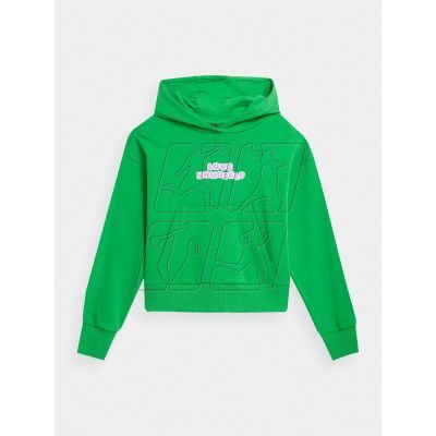 4F Jr sweatshirt 4FJAW23TSWSF645-41S