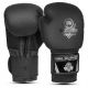 20. 10oz Boxing Gloves - Black Master - Valor Series