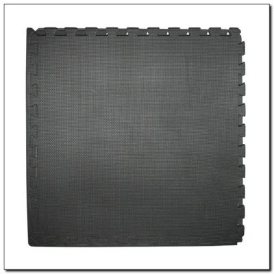 4. Puzzle mat for strength equipment MP12 600x600x12mm 17-63-018
