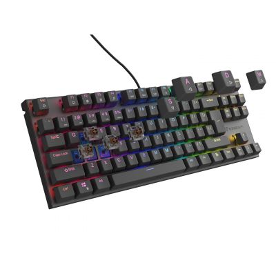 6. GENESIS Thor 303 TKL Gaming Keyboard USB QWERTY US English Black
