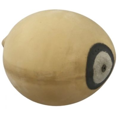 8. Bladder for the SP loft ball - PP-SP