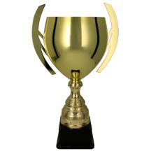 BATIKA gold metal cup