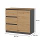 4. CHEST OF DRAWERS 1 DOOR 3 DRAWERS ANT/ART TABLETOP ART SET
