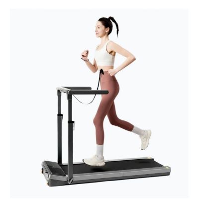 10. Kingsmith Z3 Hybrid+ Treadmill | Electric Treadmill | Foldable, 1-10 km/h