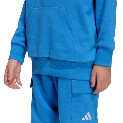 7. adidas Essentials Hoodie for kids blue KD3382