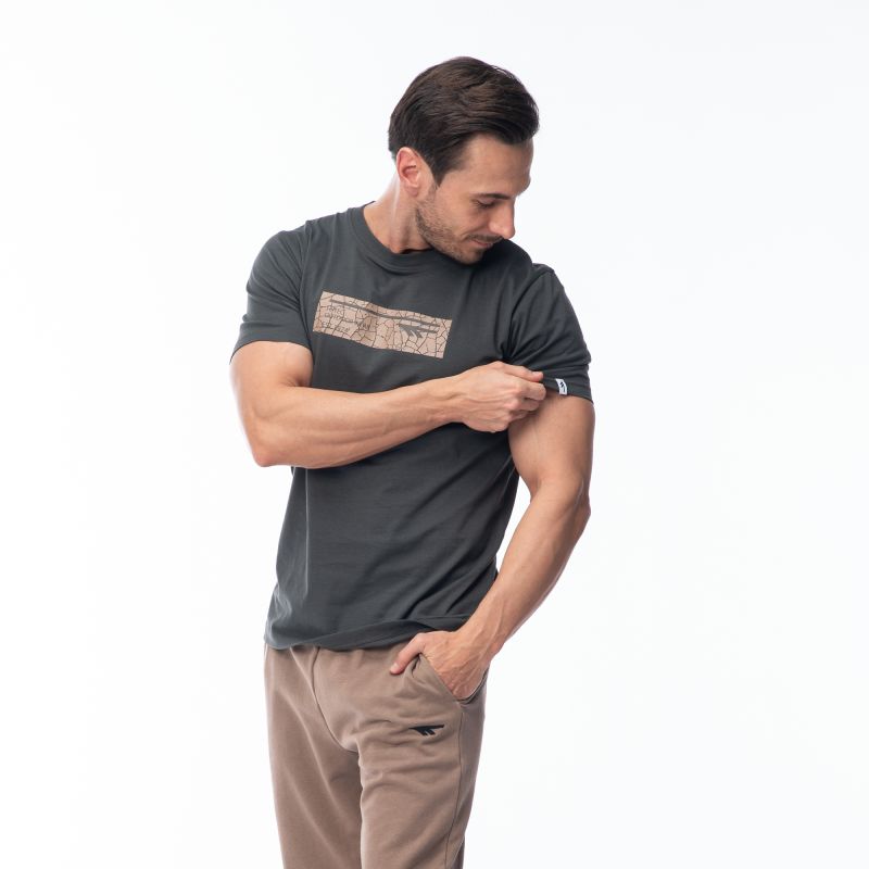 5. HAMILONI Men's Short Sleeve T-Shirt