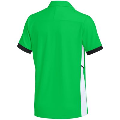 2. Nike Dri-FIT Academy Polo Kids' Shirt Green FZ9763 329