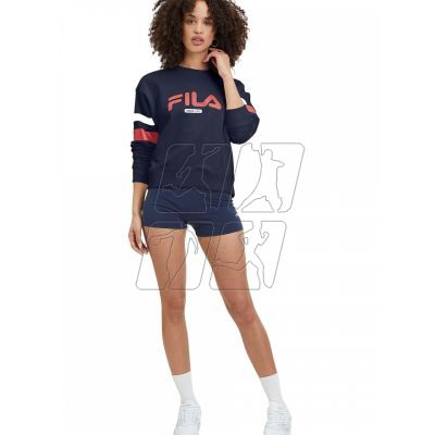 7. Fila Barumini Hoody M FAU0068.10001