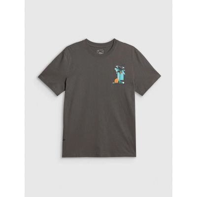 5. Men's regular printed T-shirt 4F 4FRSS26TTSHM4301-22S