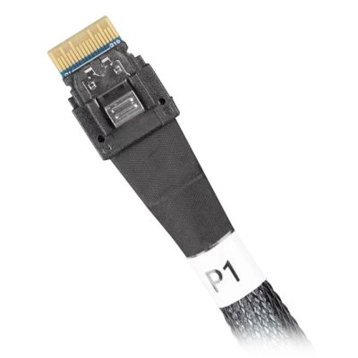 3. IcyDock MCIO 8i SFF-TA-1016 cable to 2x SlimSAS 4i 0.5 Meter