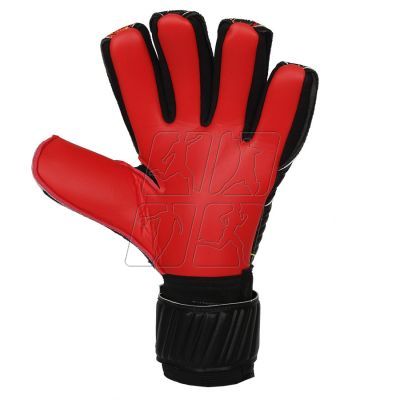 3. True TSGK-12C Goalkeeper Gloves